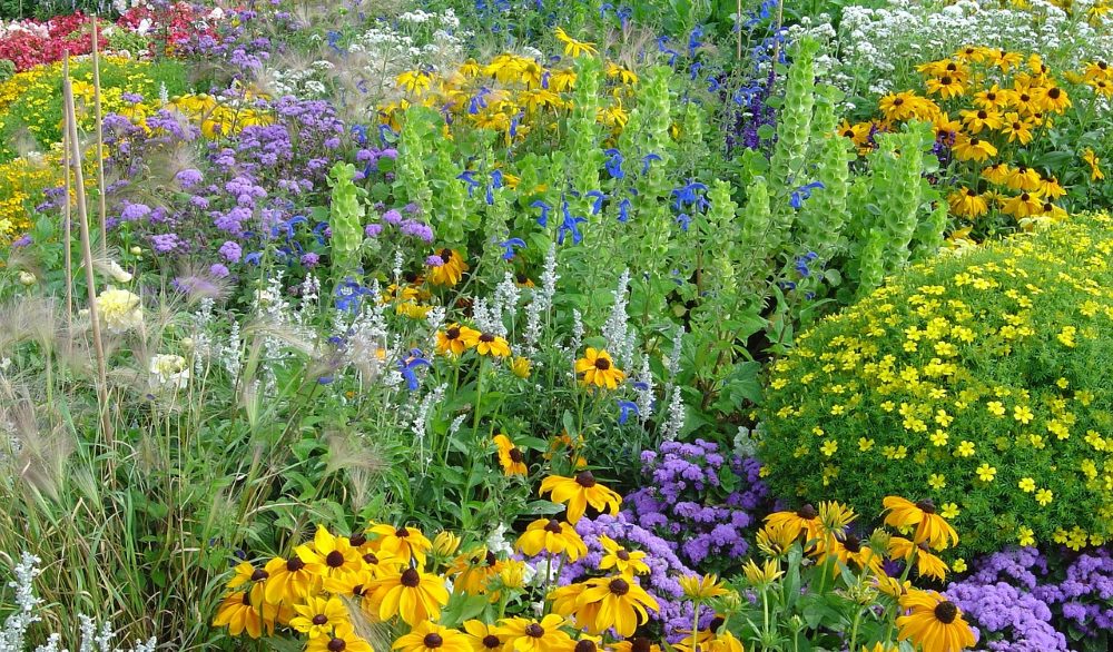 A diverse and interesting garden, with flowers of all different kinds.